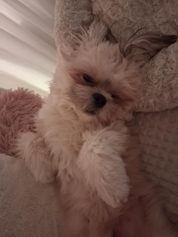 Charlie