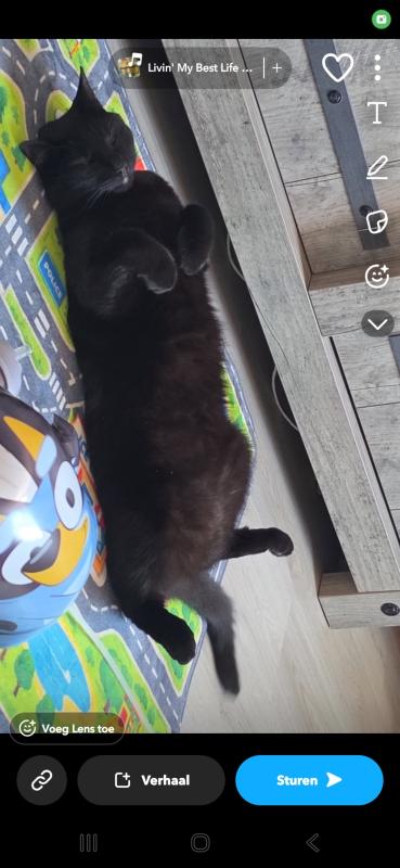 Simba