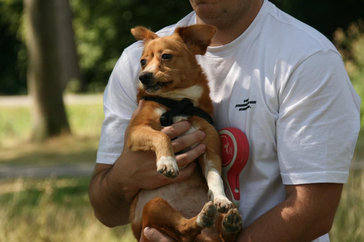 Lusi