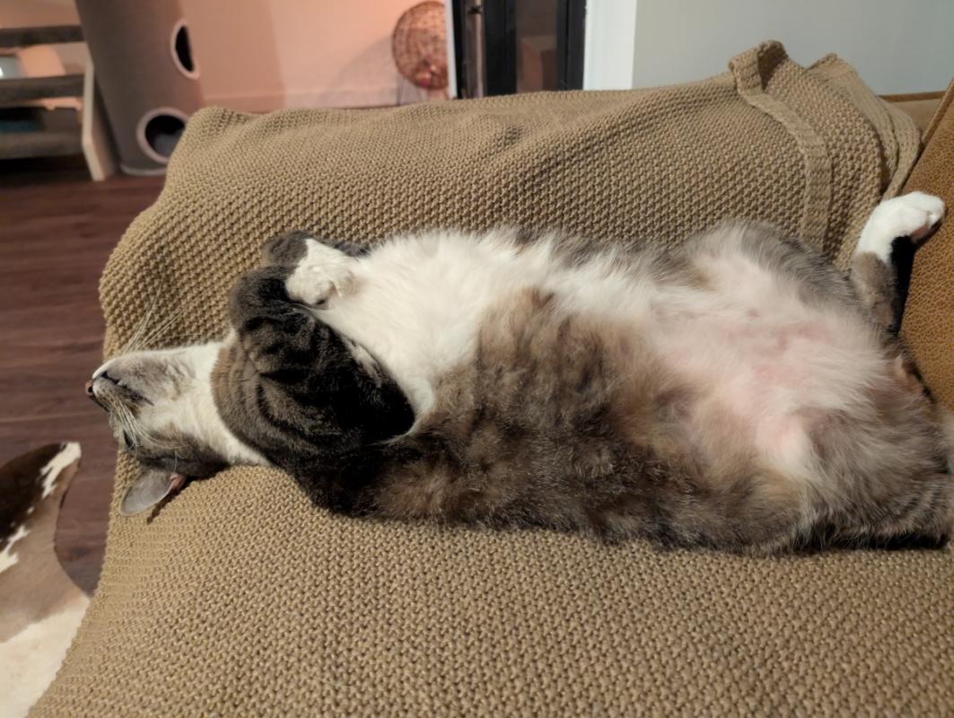 Flip