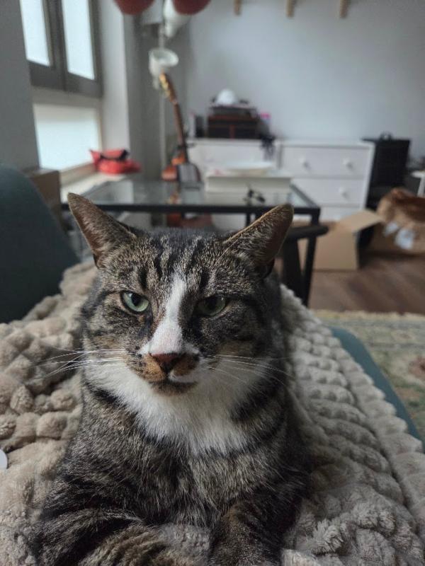Jack