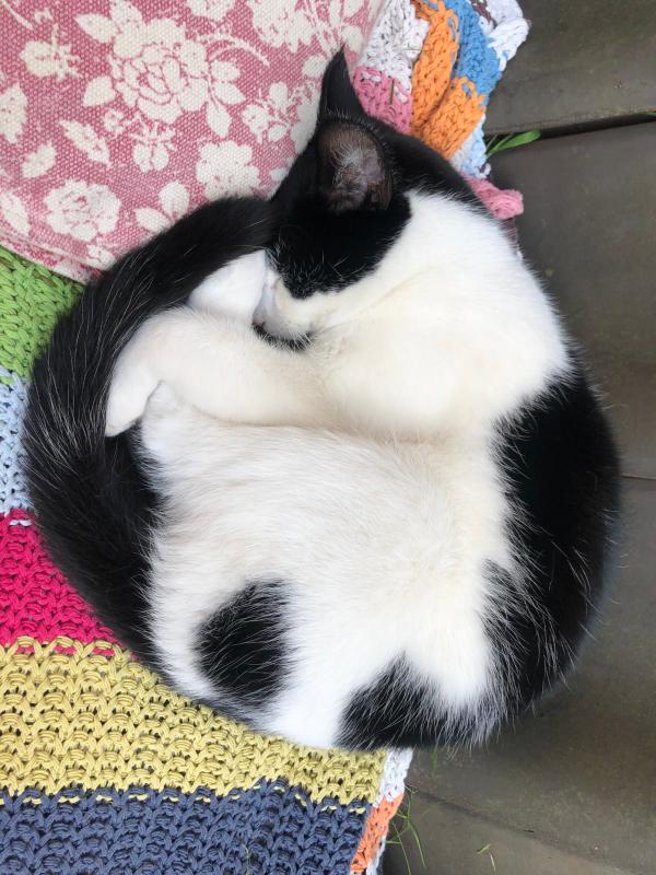 Otis