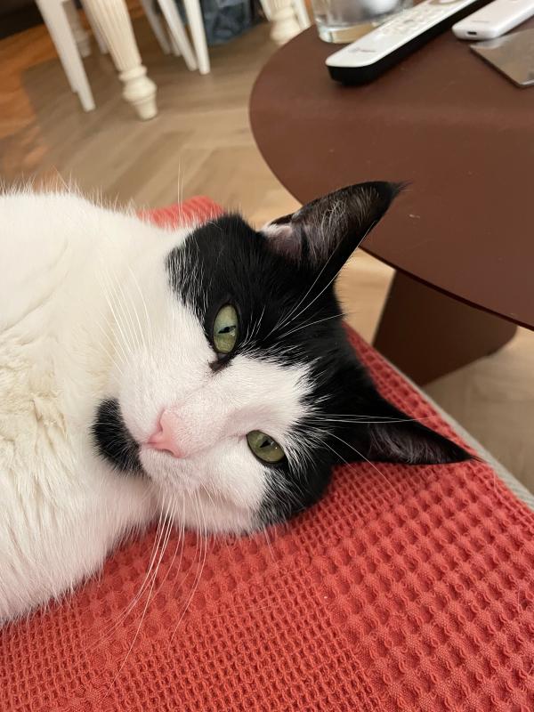 Otis