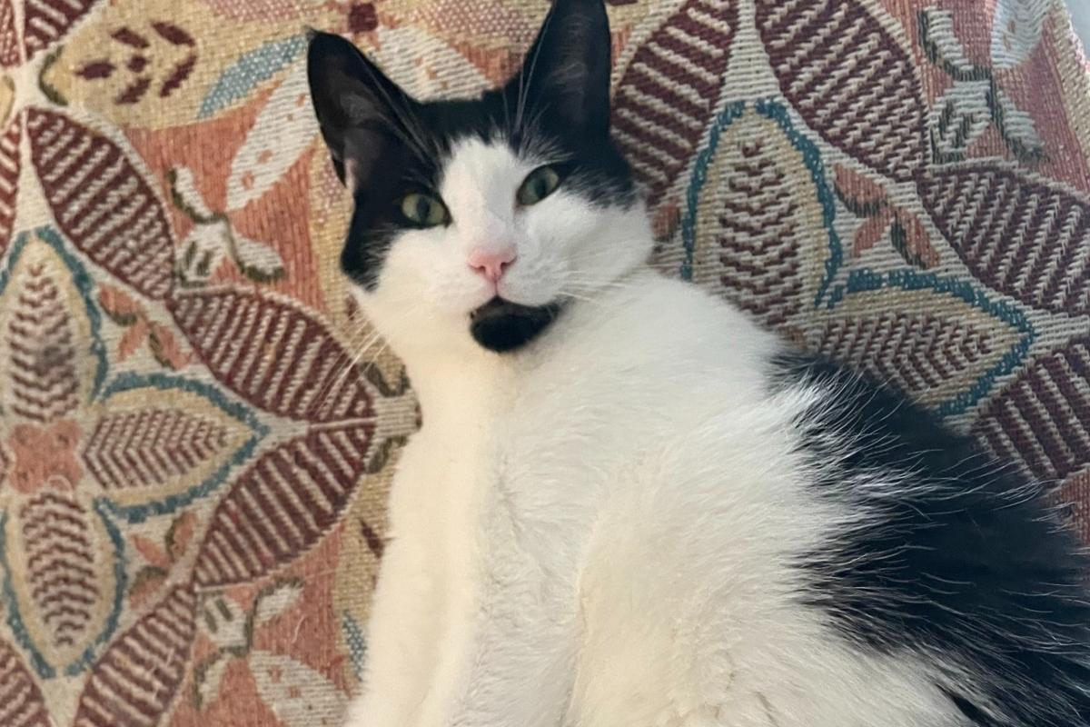 Otis
