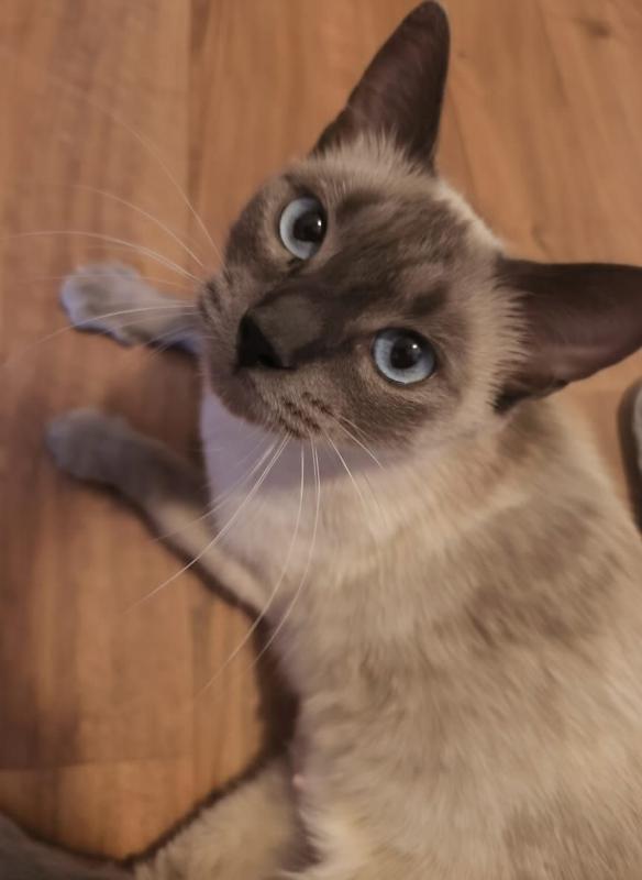 Luna