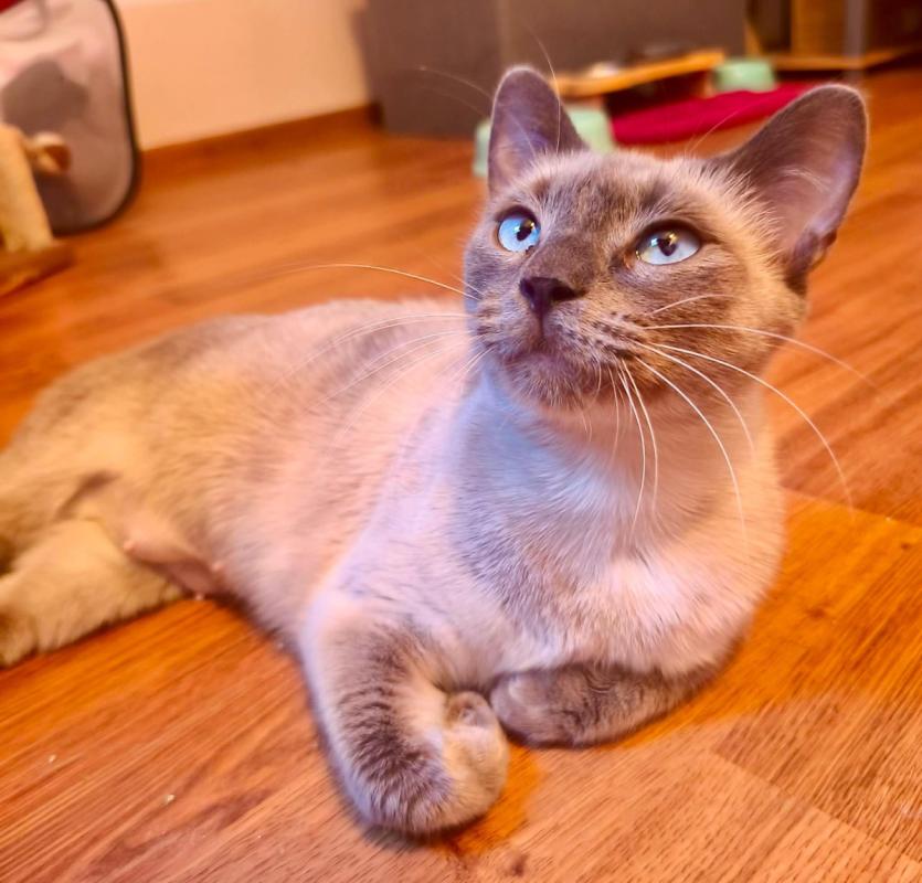 Luna