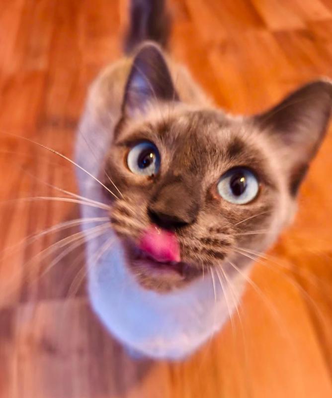 Luna