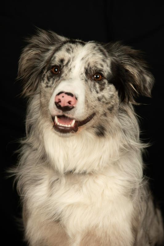 Balou