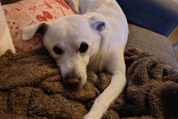 Charlie