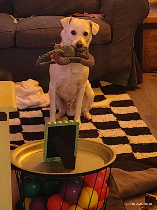 Charlie