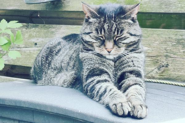 Lola