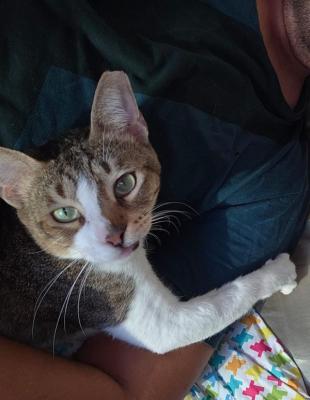 Tom