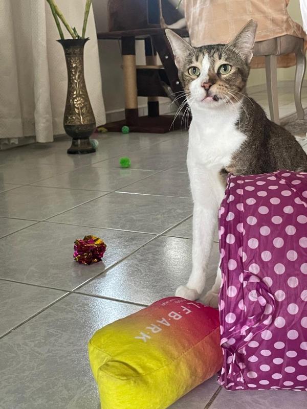 Tom