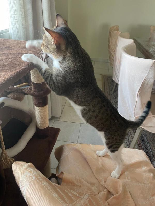 Tom