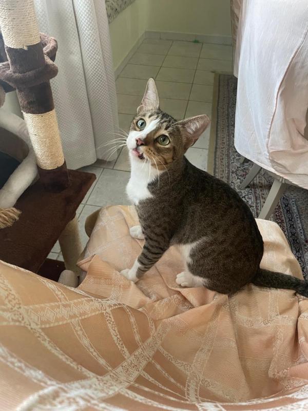 Tom