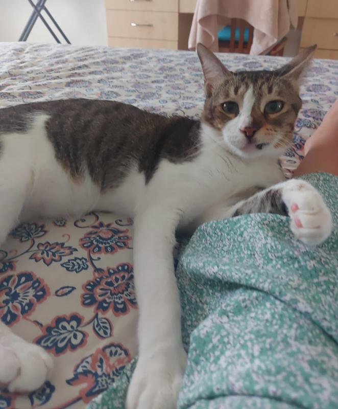 Tom