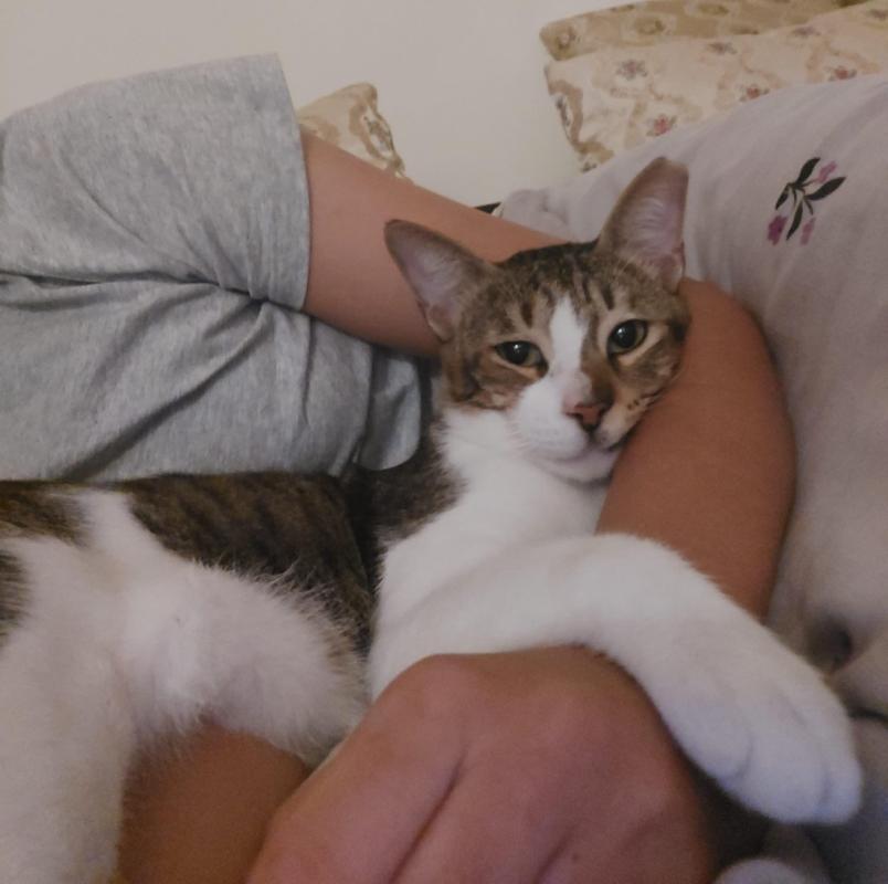 Tom