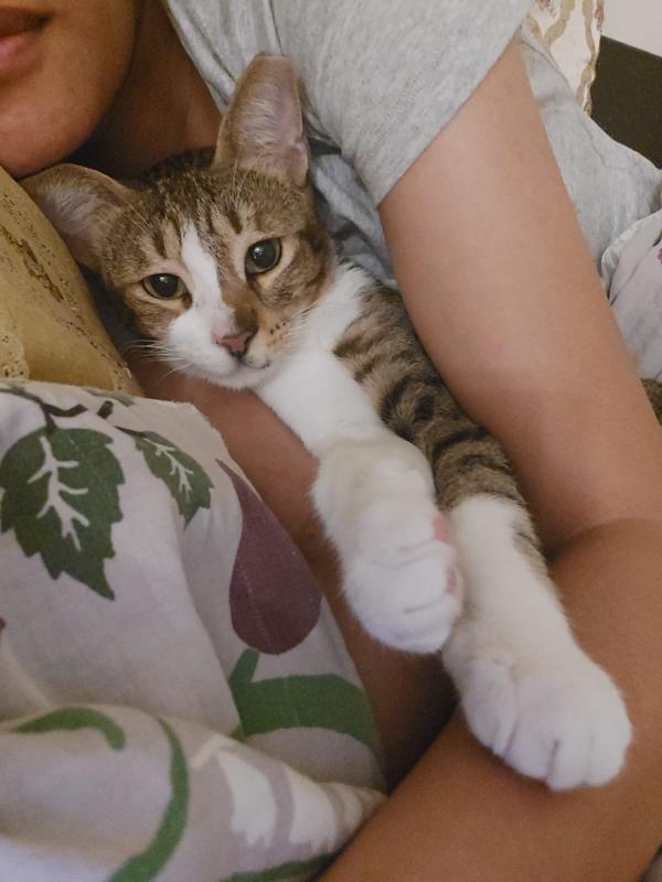 Tom