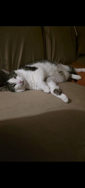 Mickie  ( Max)