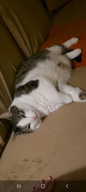 Mickie  ( Max)
