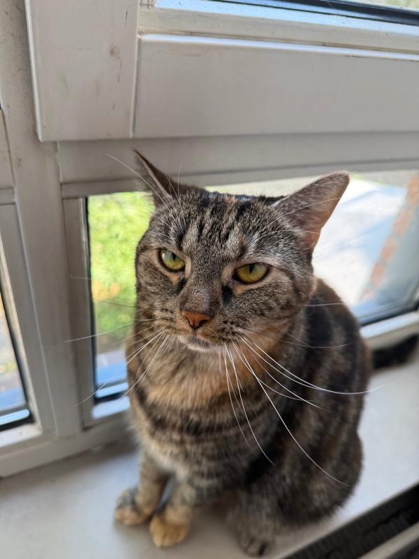 Meisje
