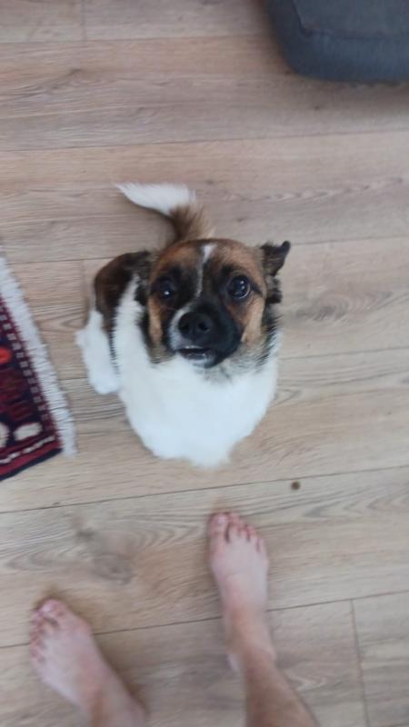 Lilo