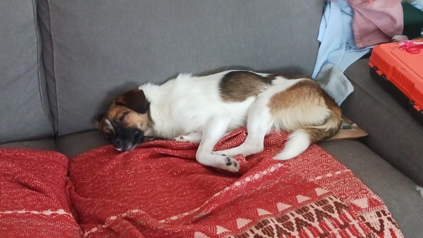 Lilo