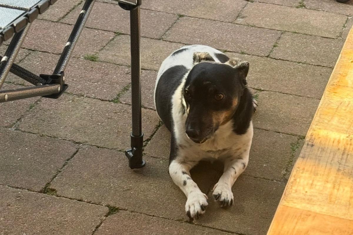 Max