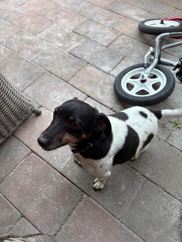 Max