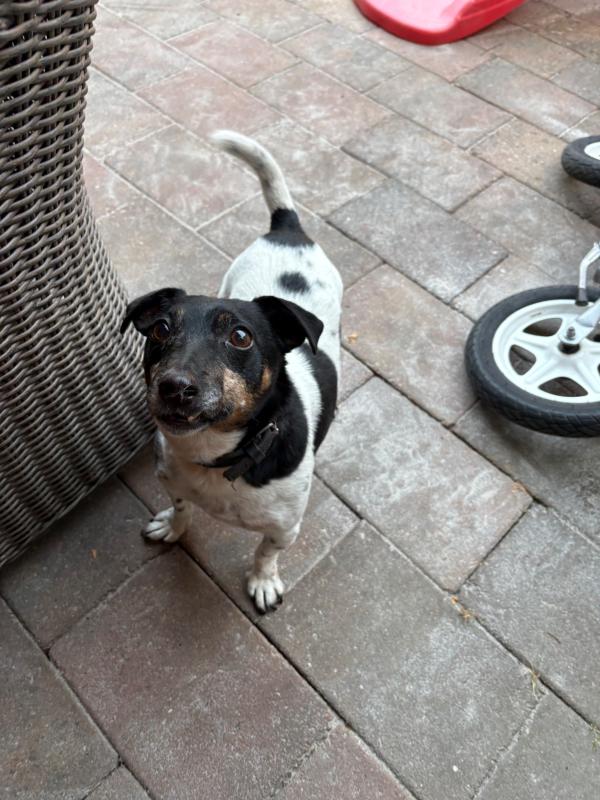 Max