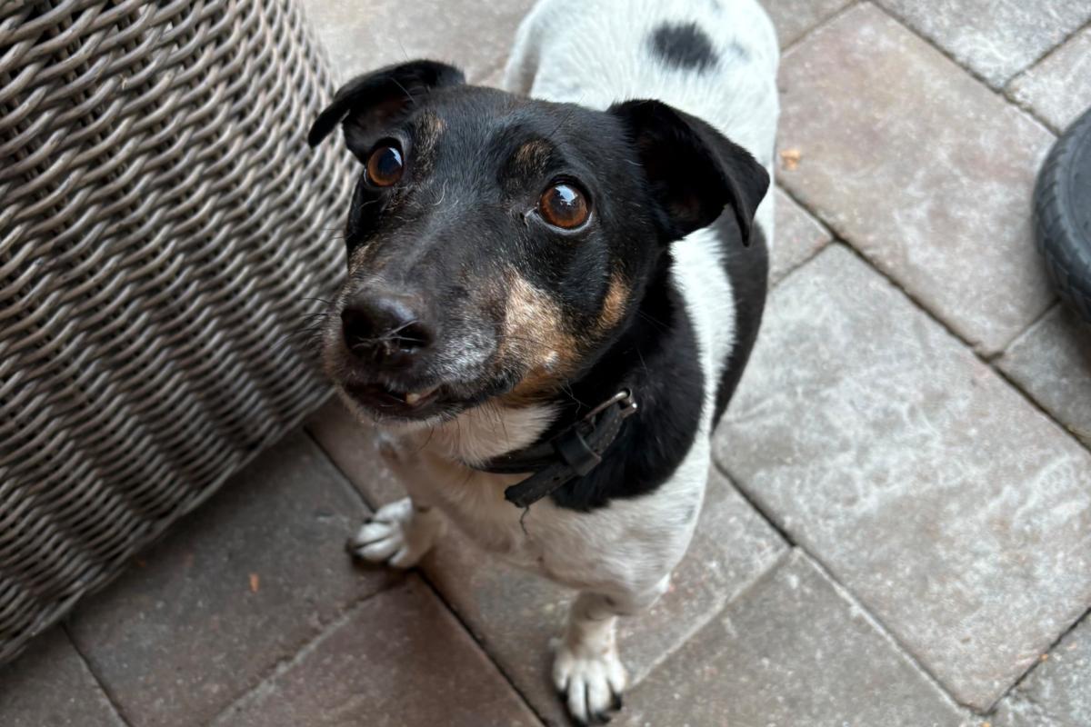 Max