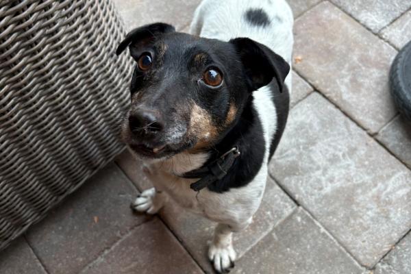 Max