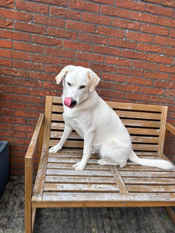 Ruby