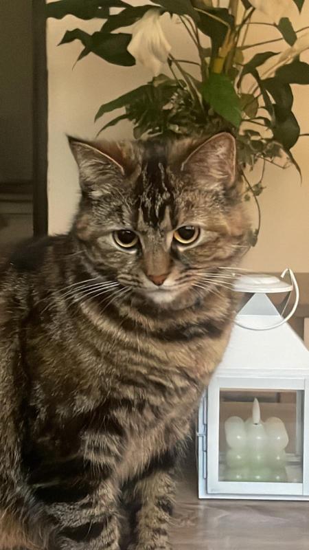 Kenza