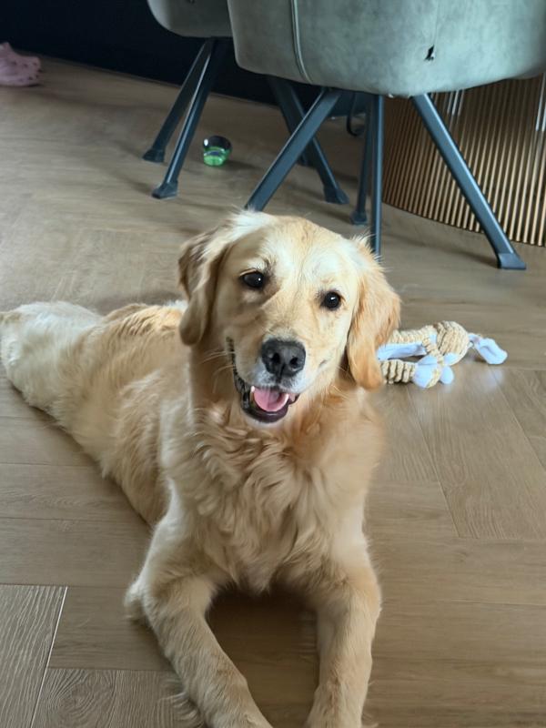 Beau