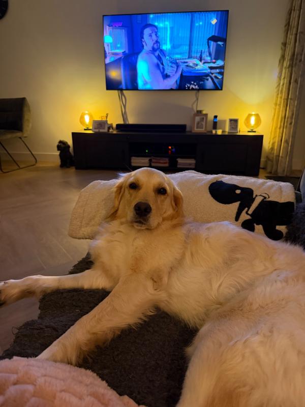 Beau