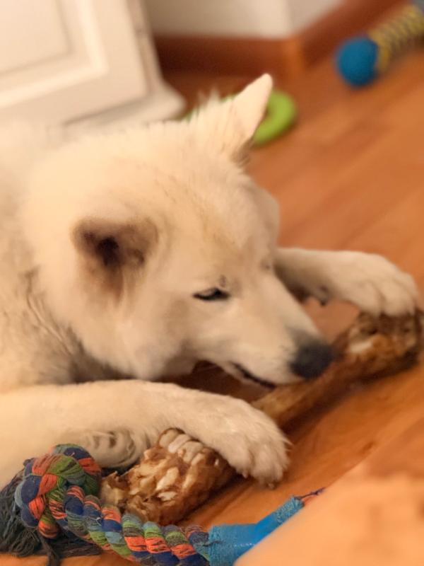 Luna