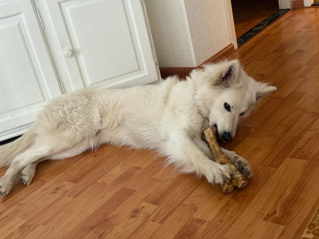 Luna