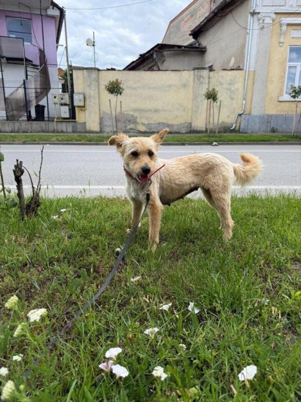 Elka