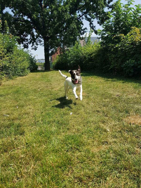 Quincy