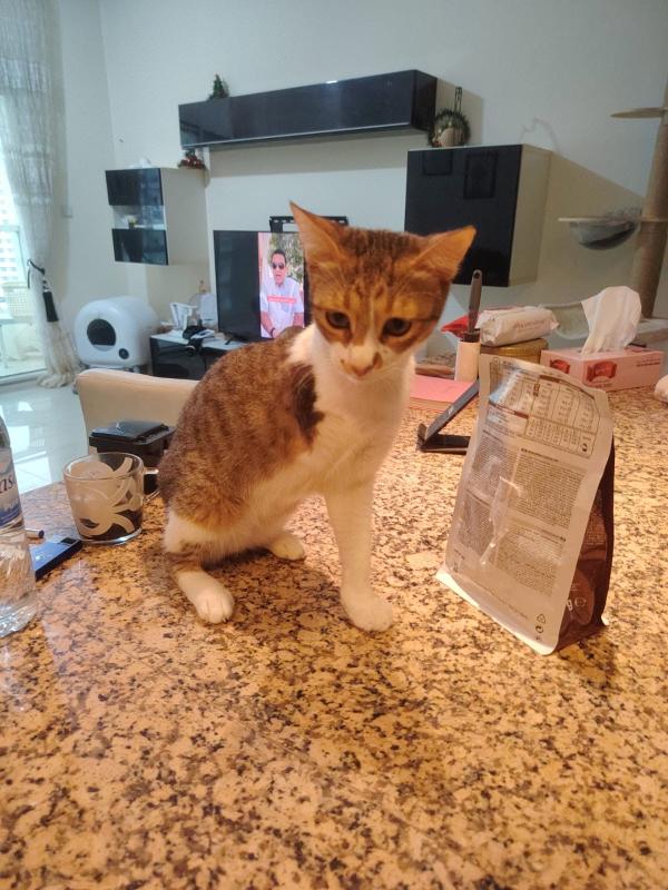 Tom