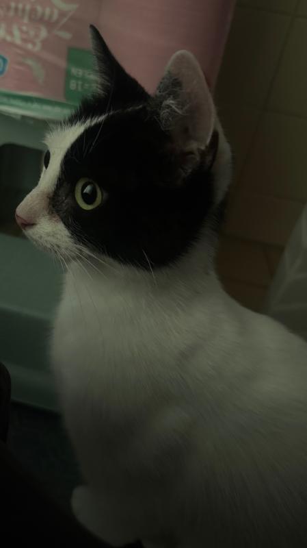 Miep
