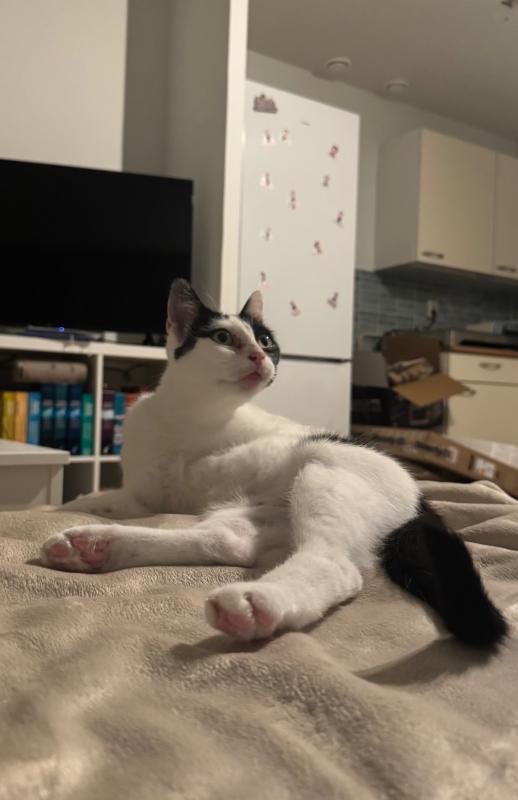Miep