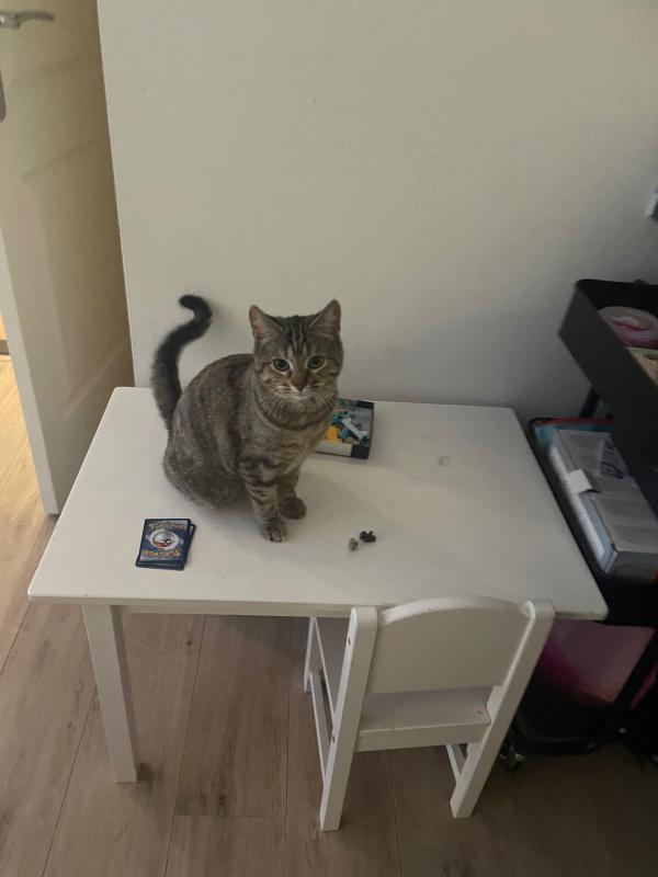 Luna