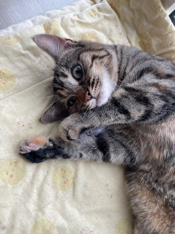 Luna