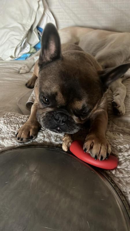 Bubba