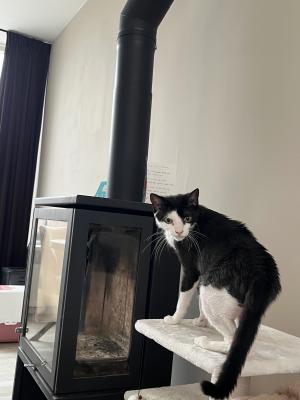 Coco
