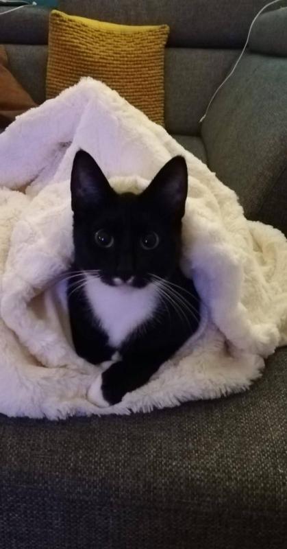Chloe