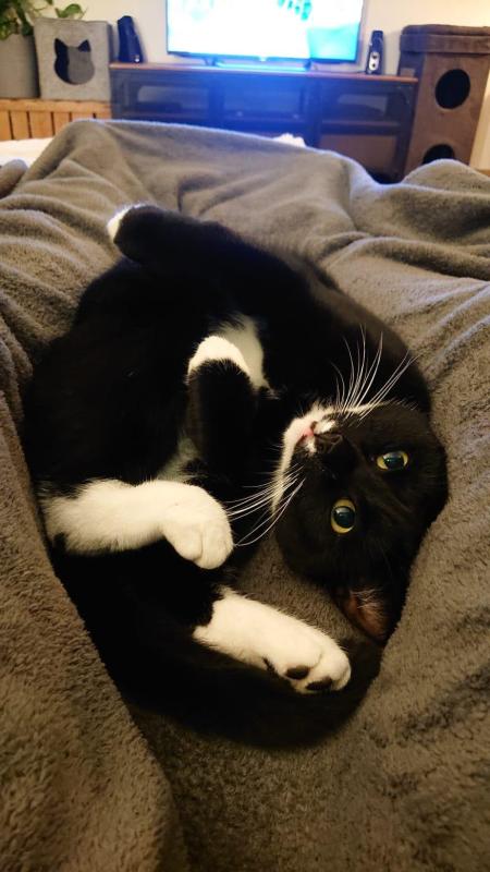Chloe