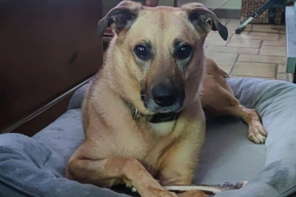 Greta
